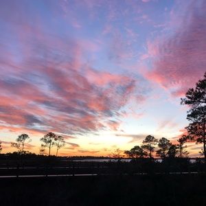 Meet your Posher, Anna grace